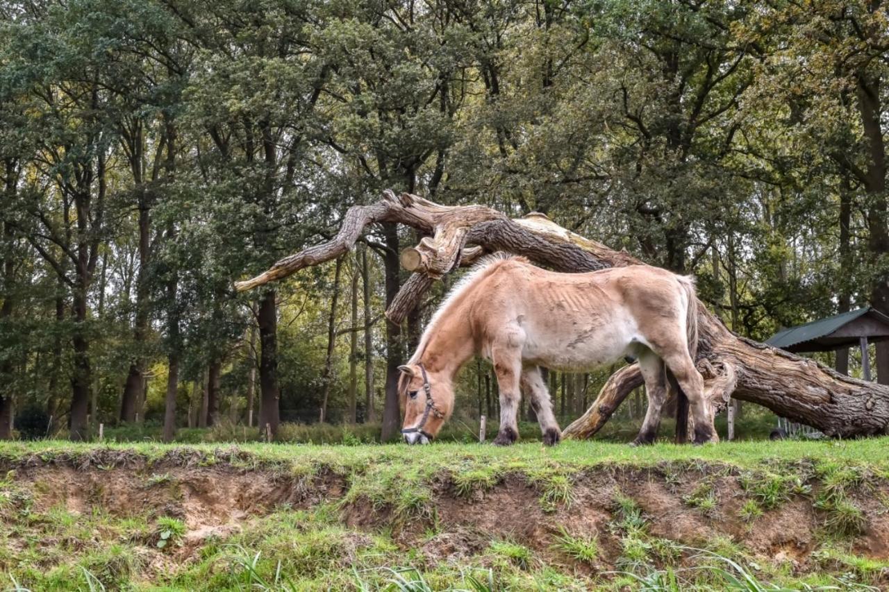 Buitenplaats Holten Rijssen Esterno foto